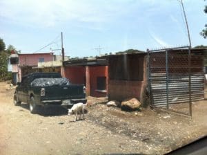 La casa de Francisco Alonzo Castillo es la que está pintada con los colores del partido Patriota.  Se encuentra en la aldea Buena Vista.