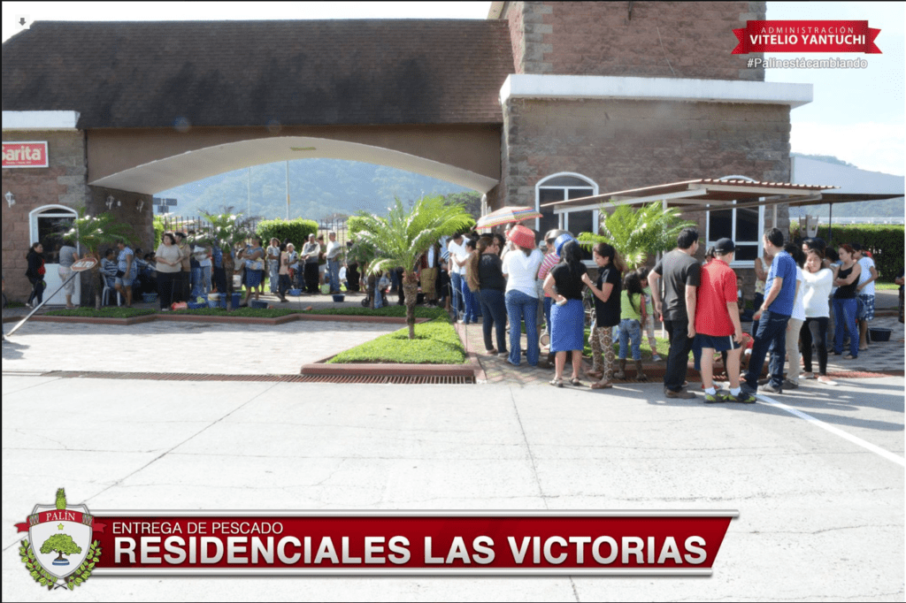 pescado-palin-03-copy