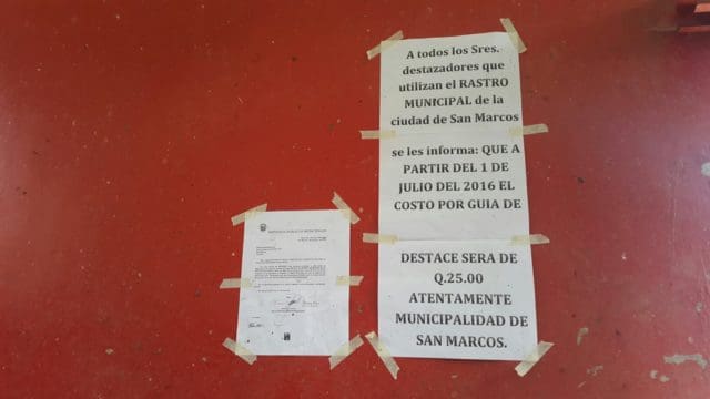 La municipalidad de San Marcos cobra Q25 por cada res.