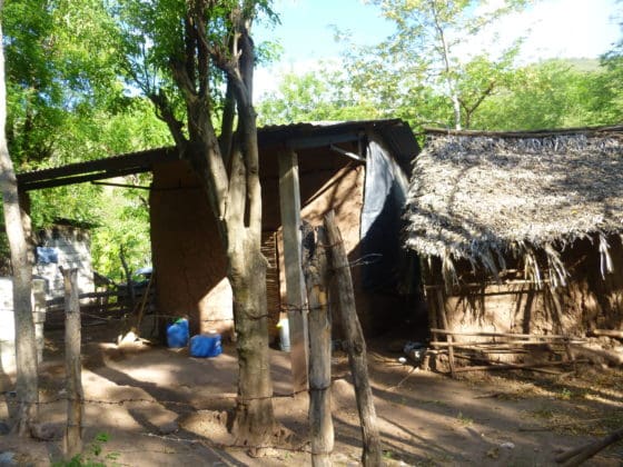 p1100392