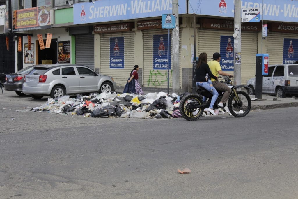 Foto: María José Longo