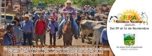 feria-1