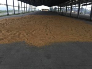 El lugar donde se construye la Mega Terminal de Cobán, se utiliza para secar granos. (Foto: Ojoconmipisto)