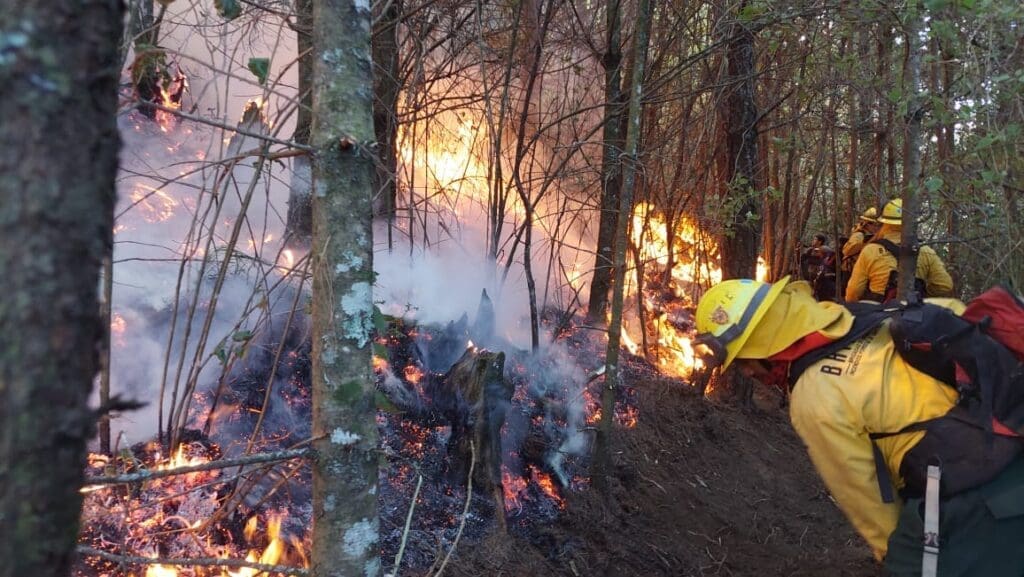 Grupos de brigadistas buscan controlar la expansión del incendio de bosques en el volcán de Agua en Guatemala.