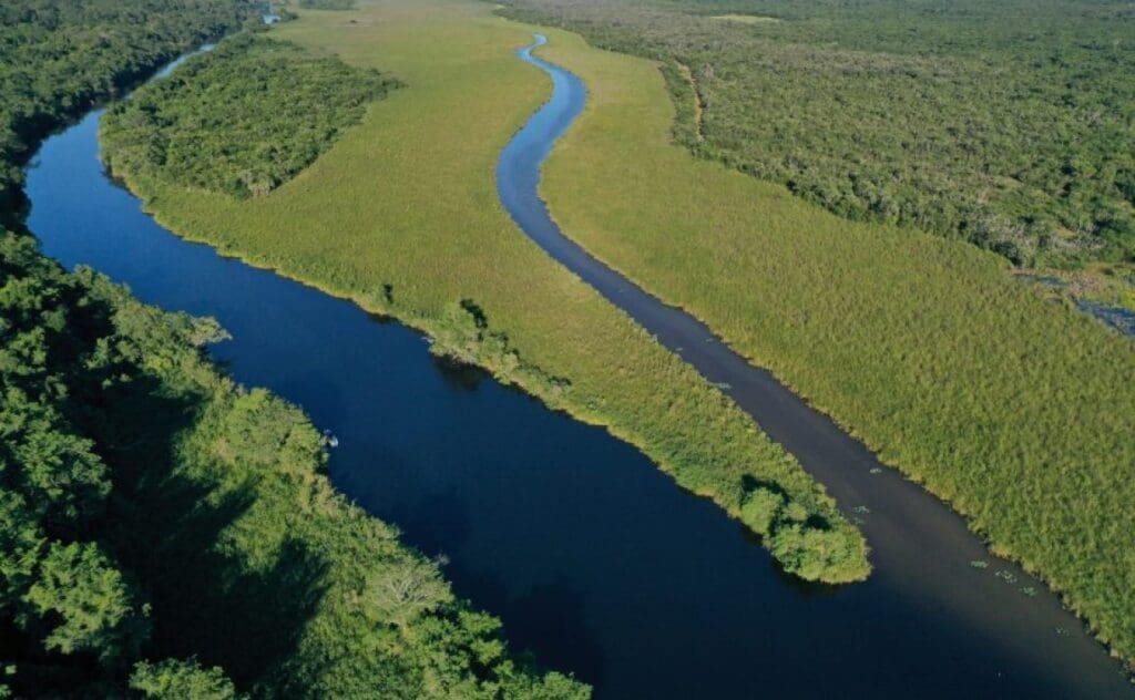 Perenco opera en la Laguna del Tigre, un área protegida de Petén. / Fotografía: Sistema de Información Cultural (SIC).  