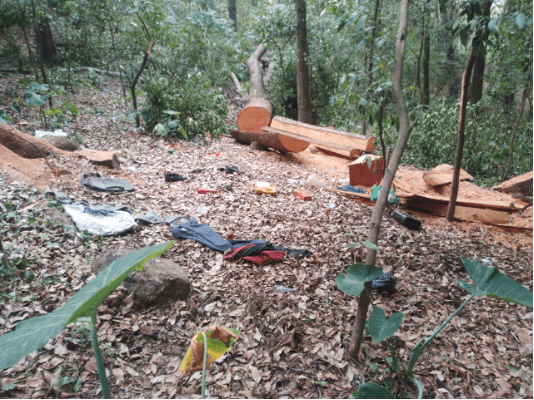 En la zona 1 de Mixco, vecinos encontraron árboles talados.