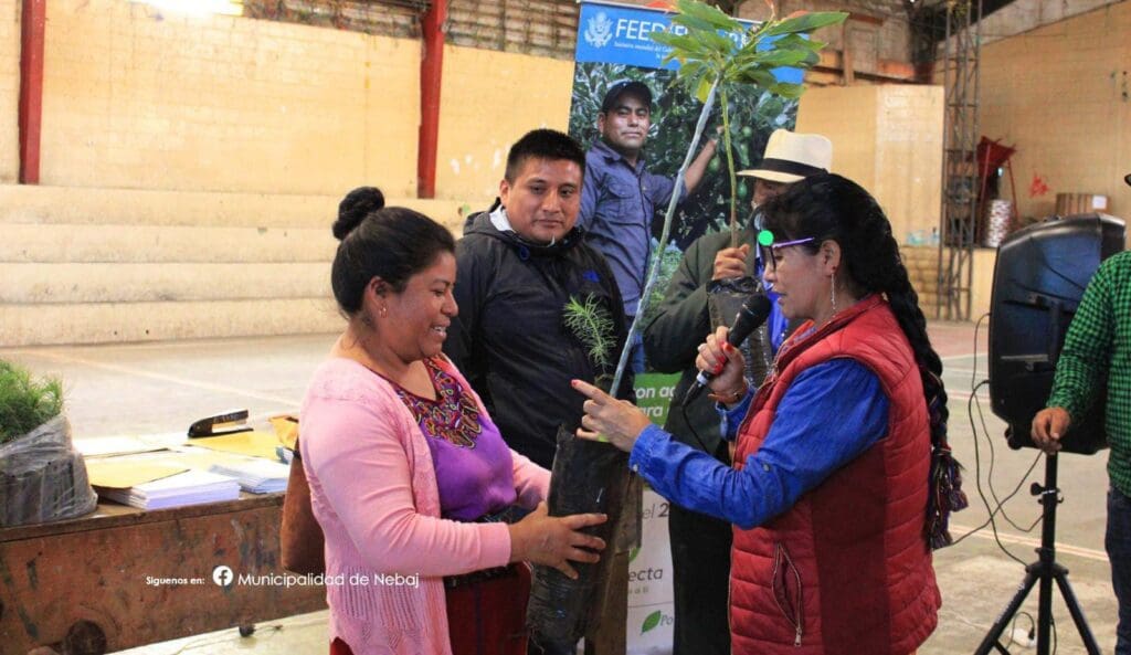 Para combatir la desnutrición y la deforestación, dijo la municipalidad. El proveedor fundó su empresa en pandemia, ha sido beneficiado con contratos por un total de Q33 millones.