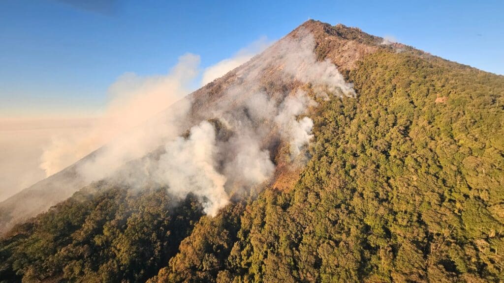 Entre febrero y abril de 2024, un incendio en el Volcán de Agua quemó 960 héctareas. Se han reforestado las áreas aledañas con pino y ciprés. 
