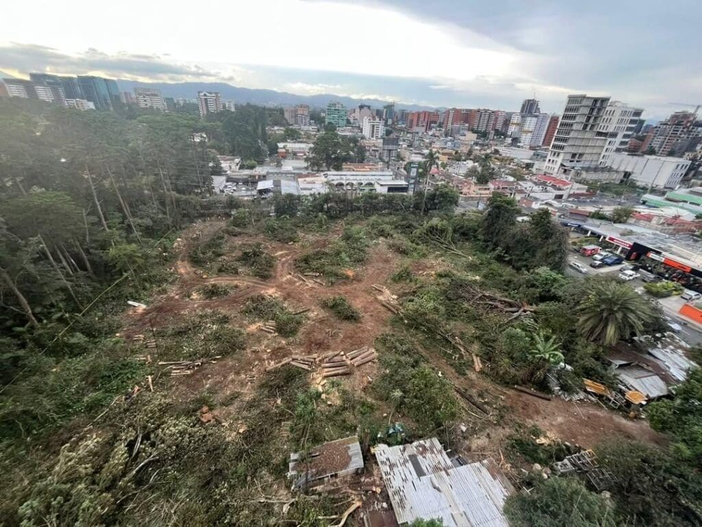 Así lucía el área del bosque del acueducto de la zona 10 la mañana del 30 de diciembre de 2024.