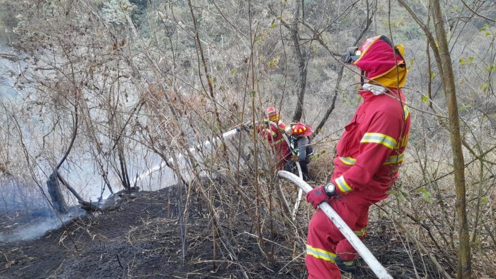 El incendio forestal, que acabó con más de 900 hectáreas a principios de 2024, dejó devastadoras pérdidas en el volcán.