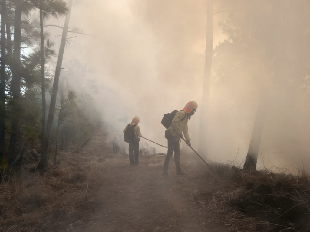 Incendio forestal en la Sierra de las Minas.