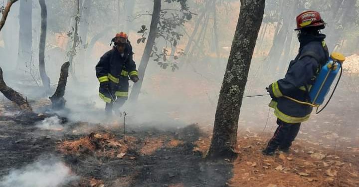 Personal capacitado liquida incendio forestal en Quiché.