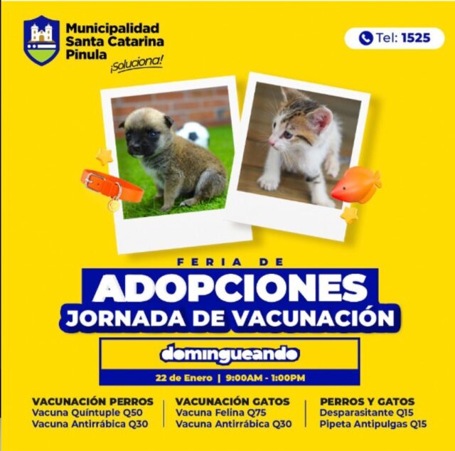 La ley incluye a las comunas como mediadoras y autoridades que pueden decomisar animales maltratados. La tarea se puede ver frustrada por falta de recursos económicos.