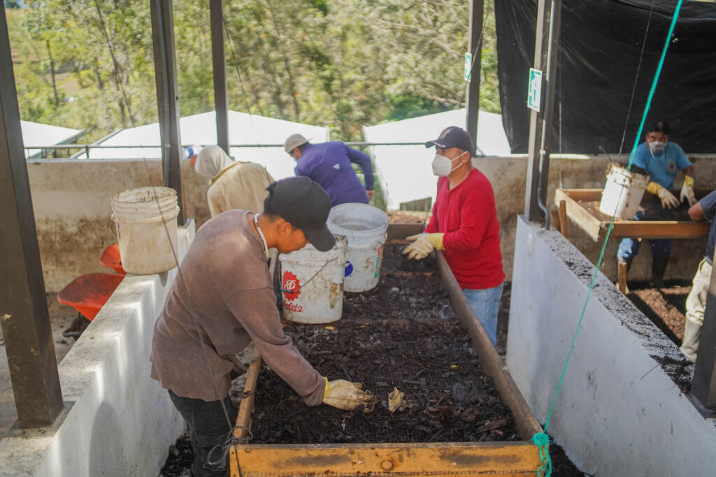 Desde septiembre, en esta municipal de Sacatepéquez aprovechan los desechos orgánicos. En siete meses, generaron 600 sacos de abono.