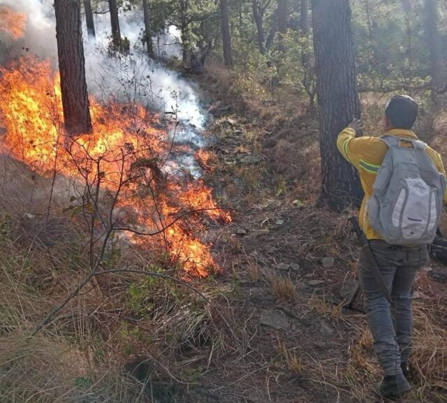 En Gualán, Zacapa, crearon una plataforma, endurecieron las multas y los son controles más estrictos. Todo contribuyó a reducir incendios.