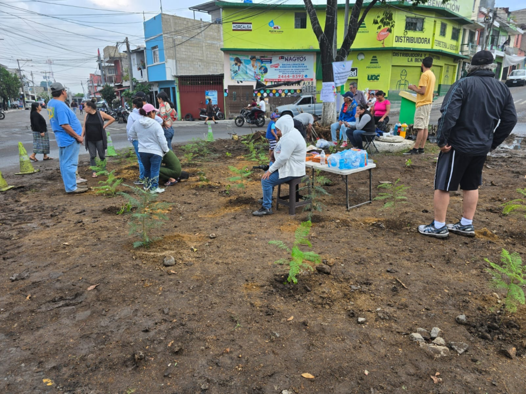 Los vecinos reforestaron el área. Plantaron una ceiba y 30 árboles de ciprés y jacaranda, que fueron retirados por autoridades municipales, quienes los agredieron.