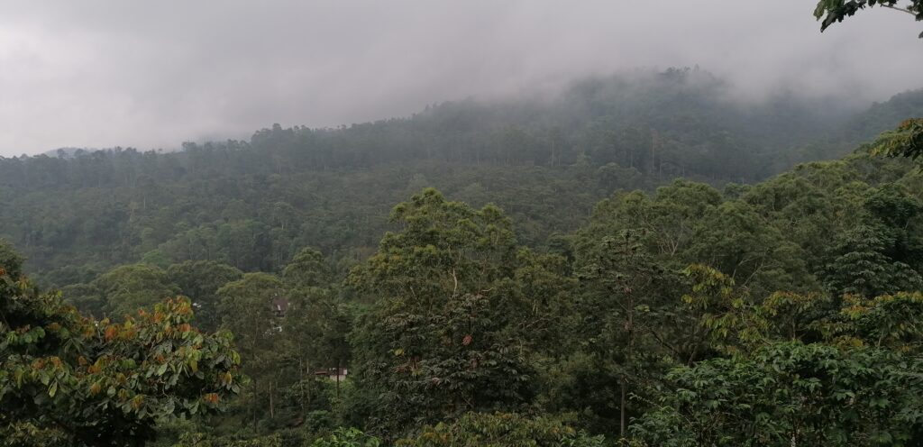 En Guatemala, la Asociación de Reservas Naturales Privadas de Guatemala impulsa la conservación voluntaria desde hace más de 25 años.