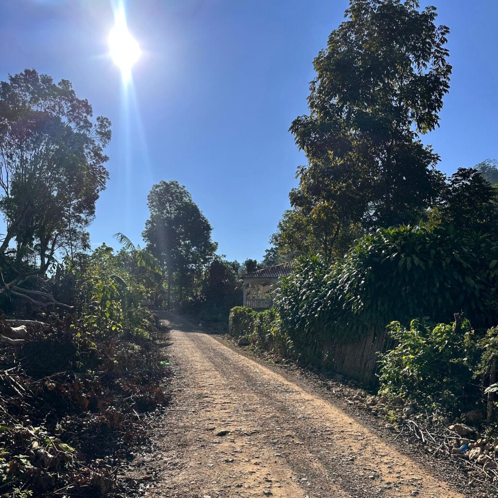 De los 38 kilómetros de Cobá Sacmoc la mitad es tercería. Foto: Emanuel Chocooj.