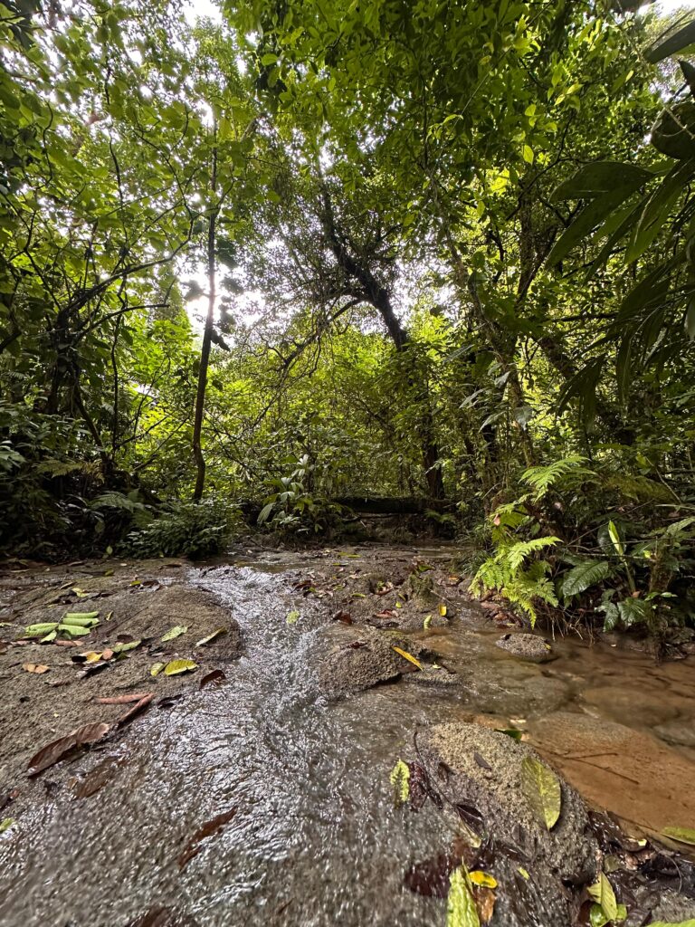 Sacmoc significa "nacimiento de agua blanca". Foto: Emanuel Chocooj.