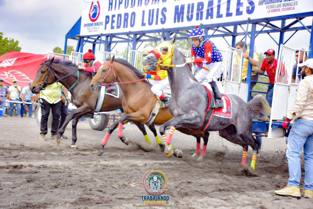 La Gomera, Escuintla, por ejemplo, remodeló su hipódromo con compras menores a Q25 mil con el mismo fin y proveedor. Le dedica más recursos que a salud y educación.