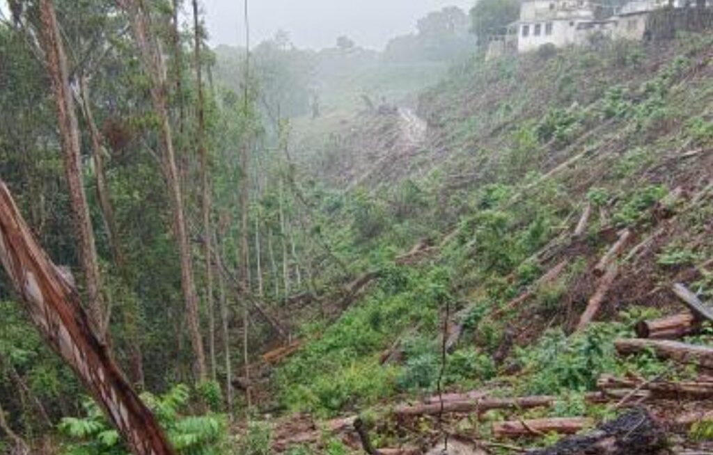 Una servidumbre de paso en un área verde preocupó a vecinos de Villa Linda, zona 7, hace un año. TuMuni incumplió el compromiso de no cambiar el uso de suelo, según estudio ambiental.
