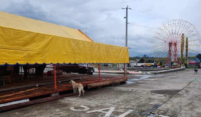Por unanimidad el concejo municipal de Quetzaltenango aprobó 15 comisiones para celebrar la feria de independencia en septiembre. Esta edición costará Q5 millones. 